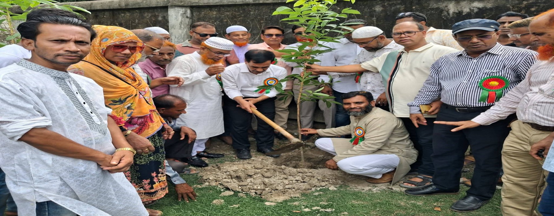 বৃক্ষরোপণ কর্মসূচি